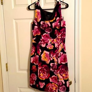 Express sz 6 knee length hip hugging dress